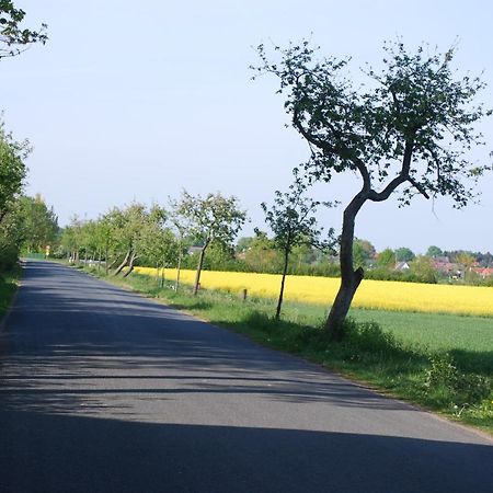 Ferienwohnung Im Grunen - Hof Blohme Langwedel  ภายนอก รูปภาพ