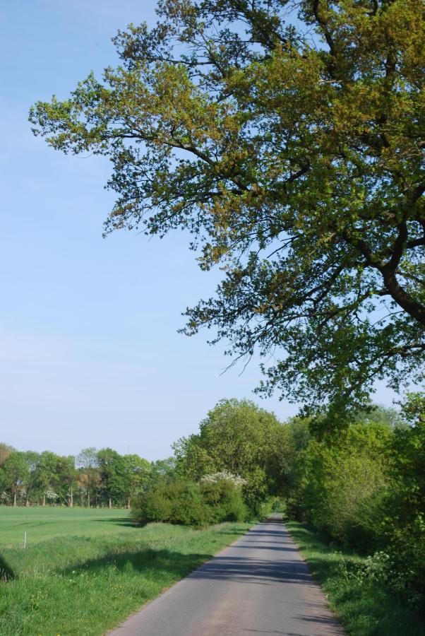 Ferienwohnung Im Grunen - Hof Blohme Langwedel  ภายนอก รูปภาพ