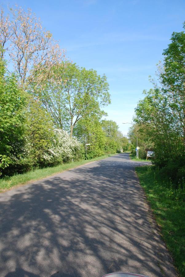 Ferienwohnung Im Grunen - Hof Blohme Langwedel  ภายนอก รูปภาพ